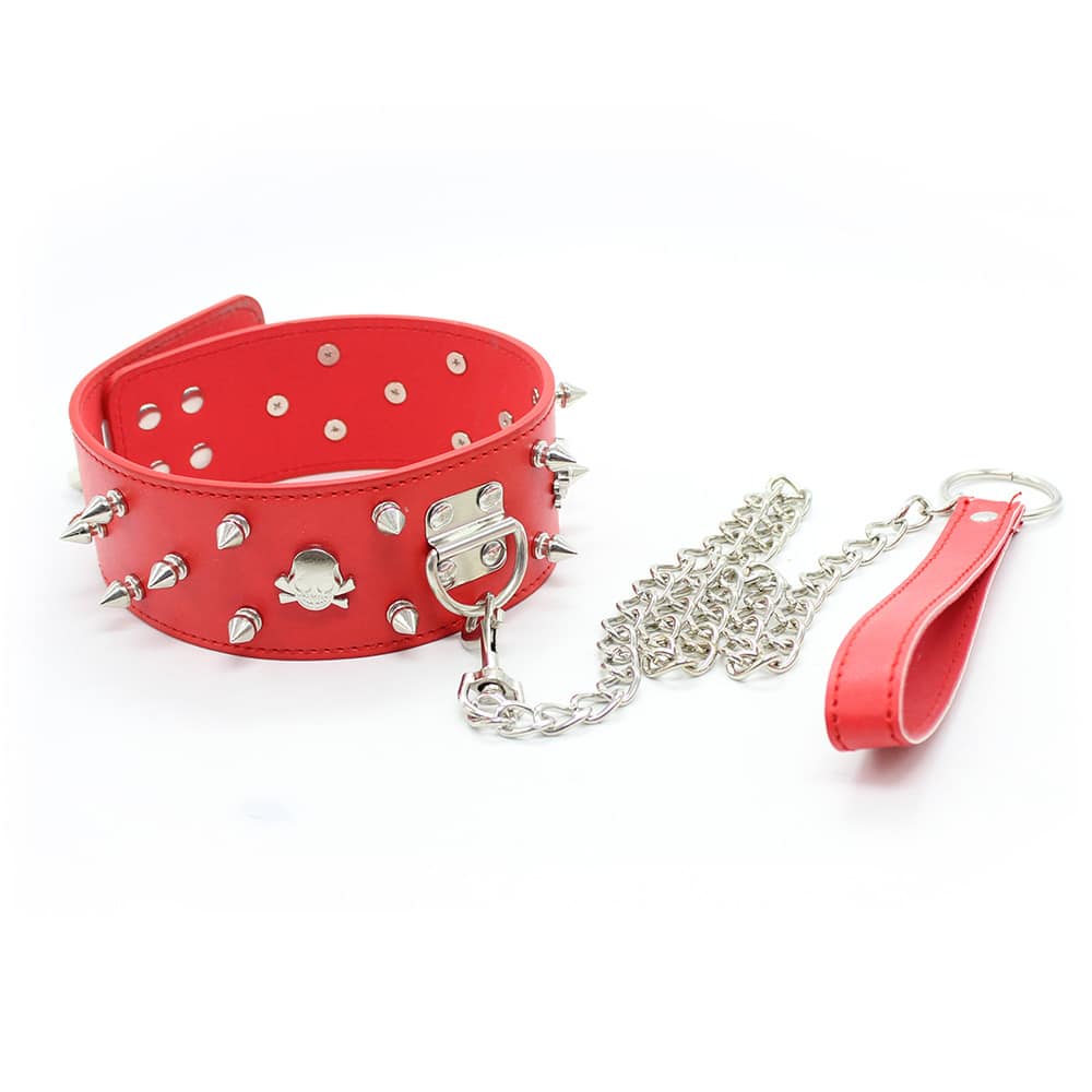 Spiked Collar with Leash