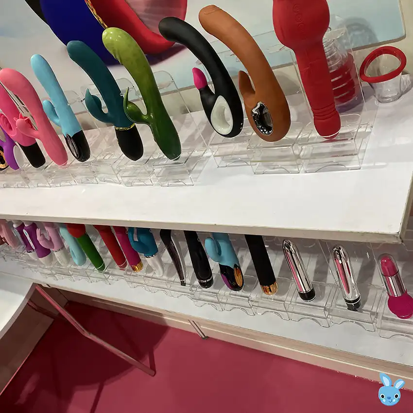Rabbit vibrator​s show