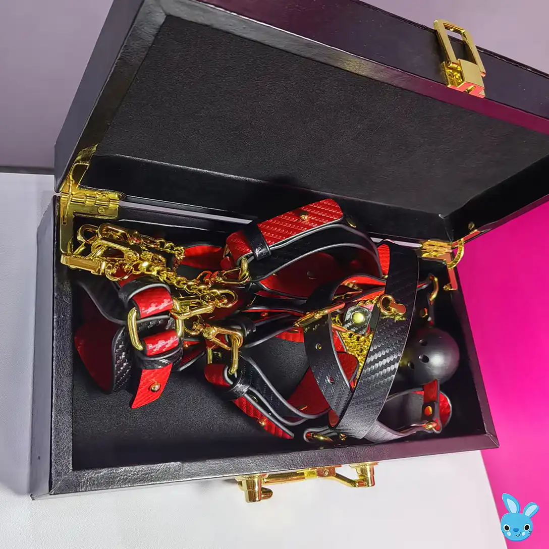 Bdsm luxury box example