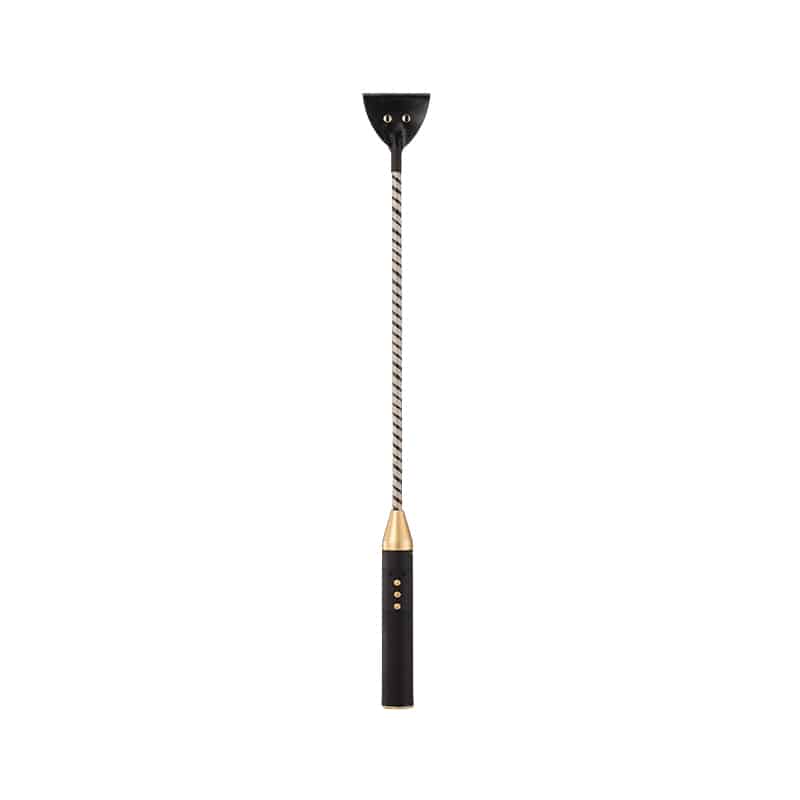 Long Handle Electric paddle