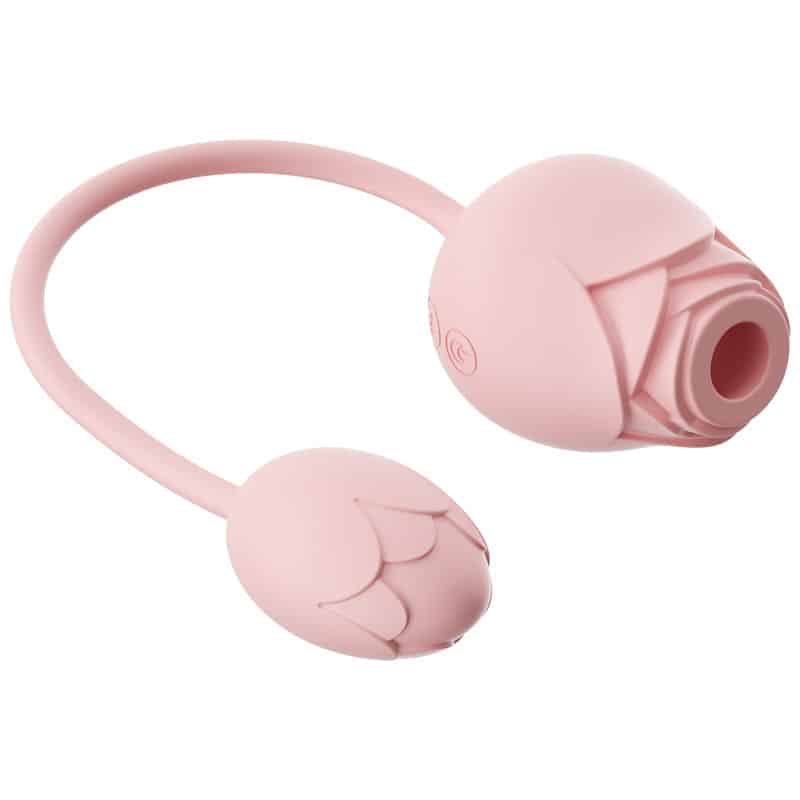 Rose egg Vibator