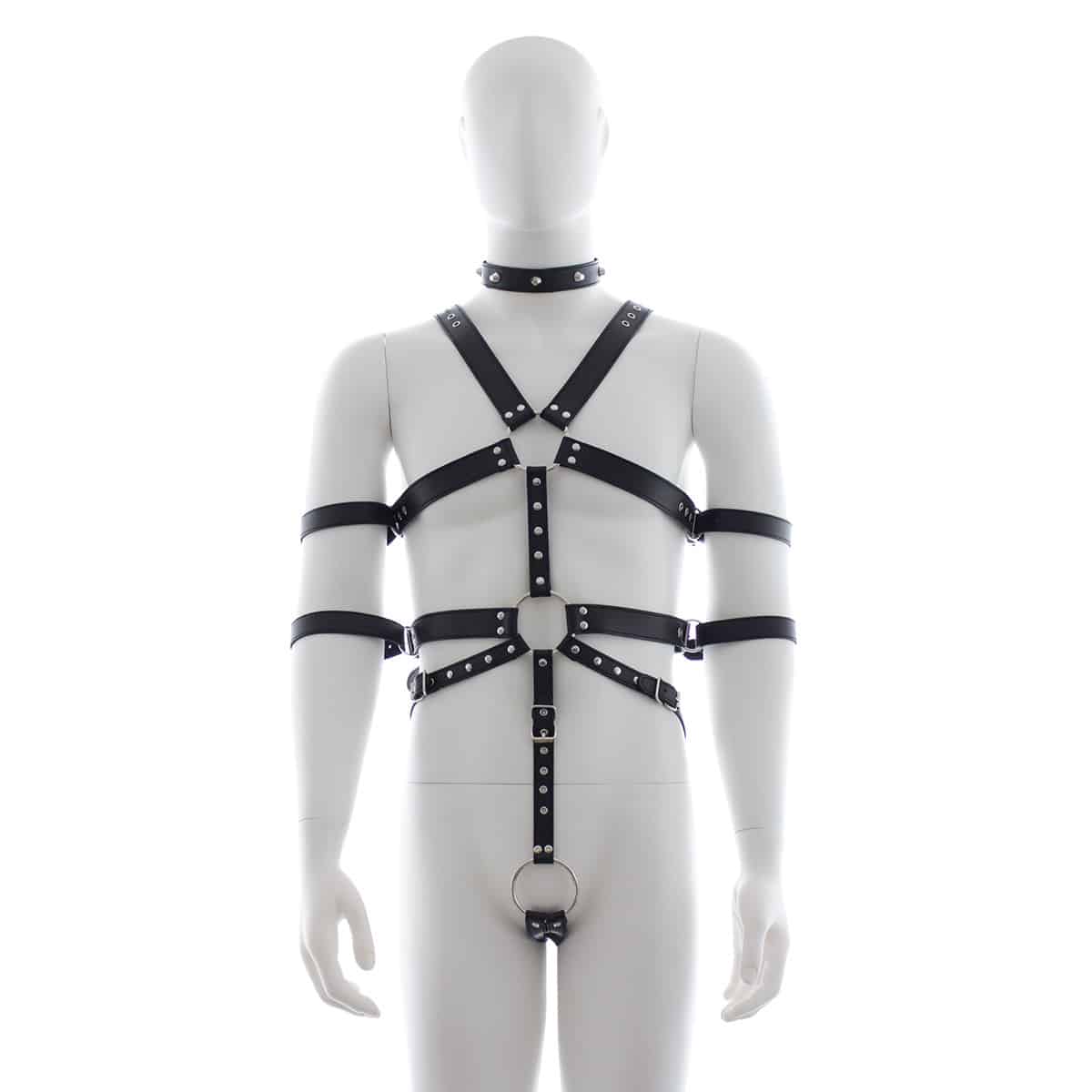body harness