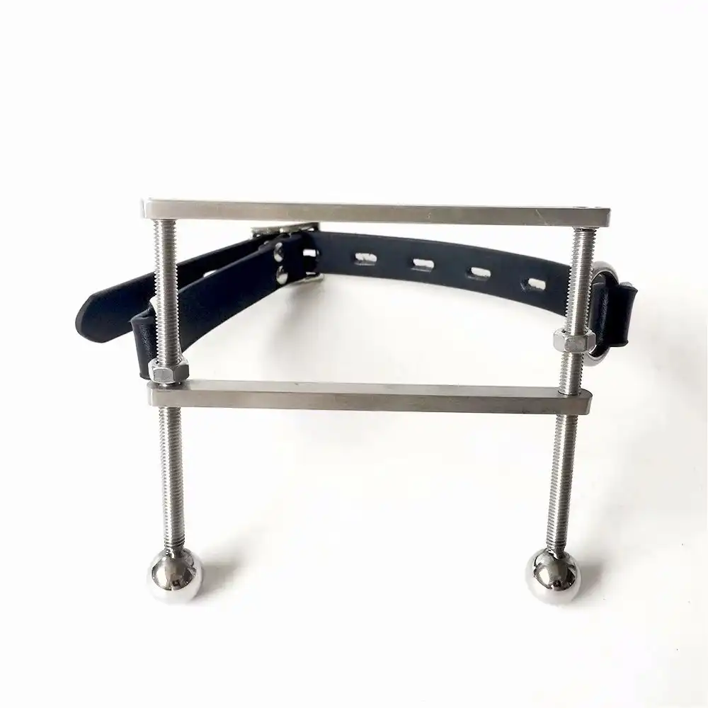BDSM ring gag