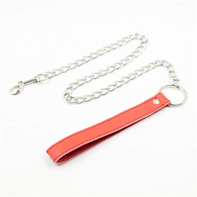 Chain Leash with Leather Handle
