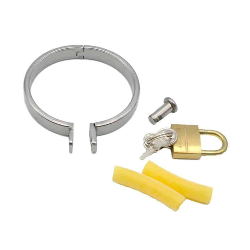 Steel Hinged Back Rings