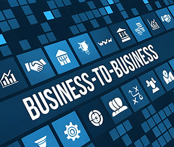 B2B Website