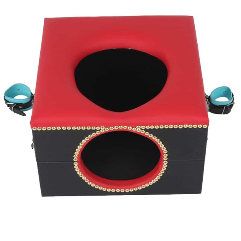 Punishment Cage with Cuffs