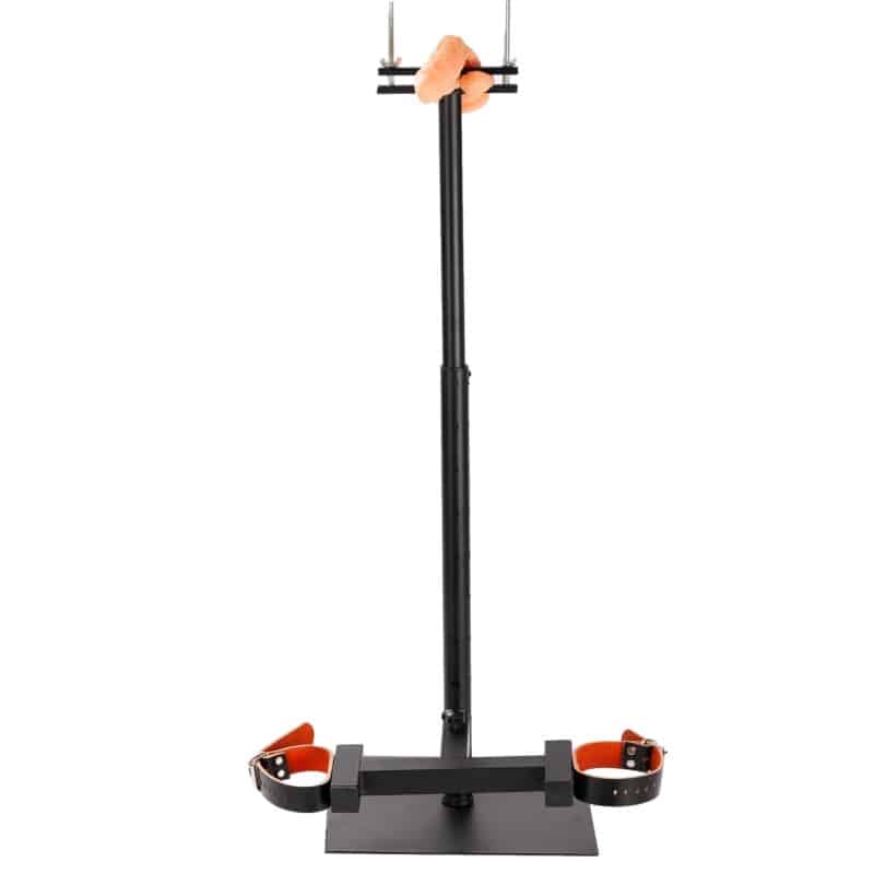 Cock and Ball CBT Pillory