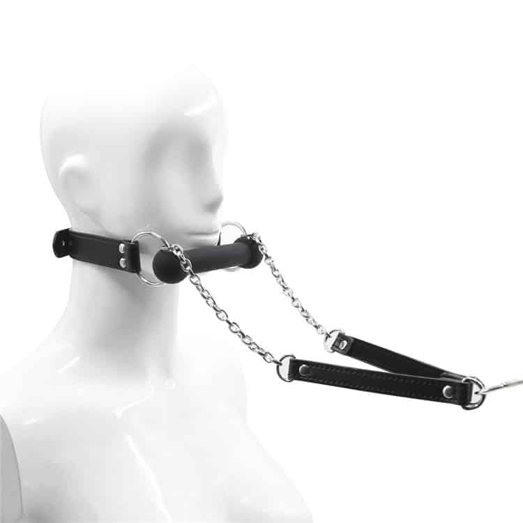 Bondage Mouth Gag Set