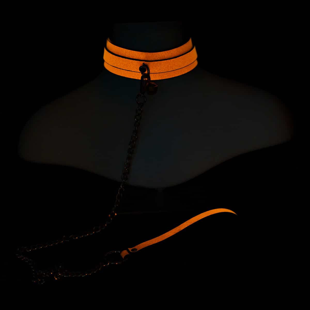 Glow In The Dark Collar and Leash