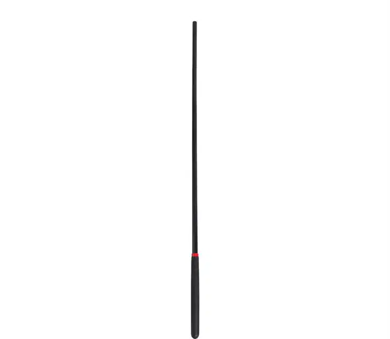Caned BDSM