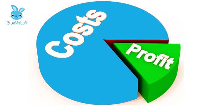 cost and profit