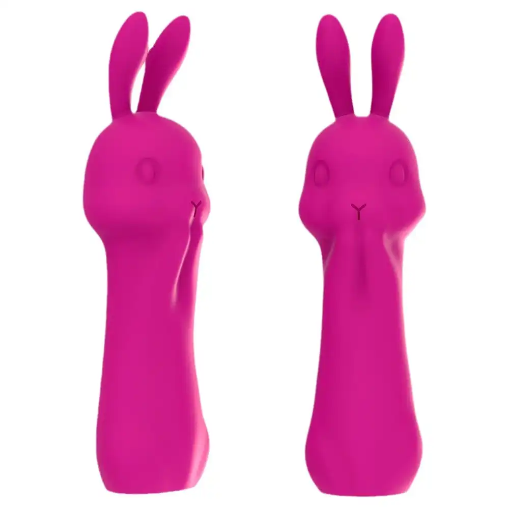 Red small rabbit vibrator for women