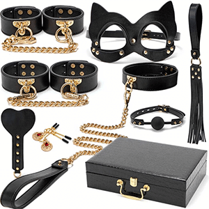 High- end BDSM toys box