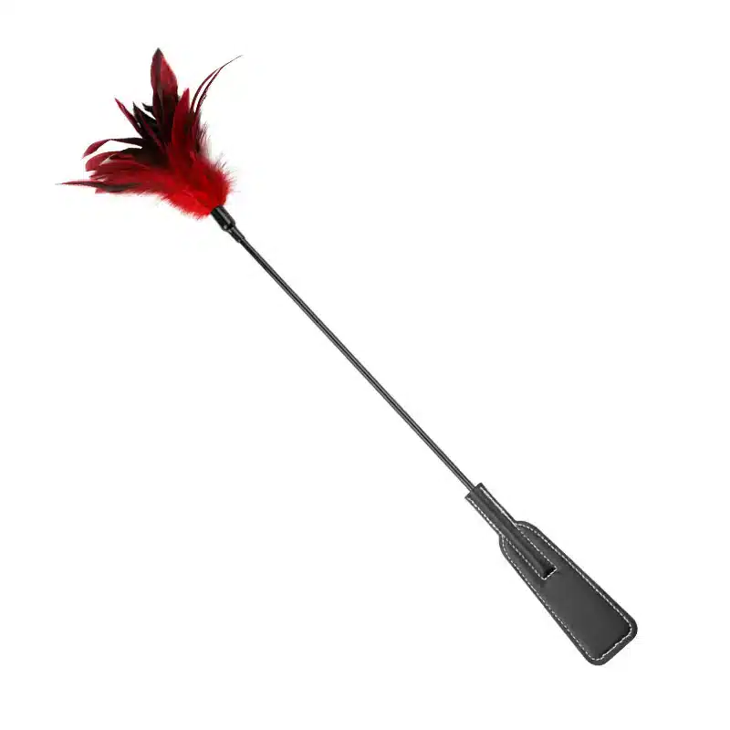 feather duster tickle