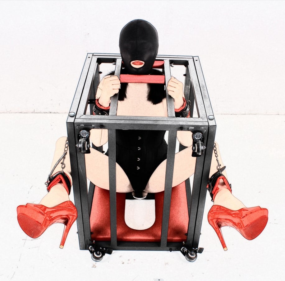 Dog Slave Training Bondage Torture Tools Fetish Adult Games