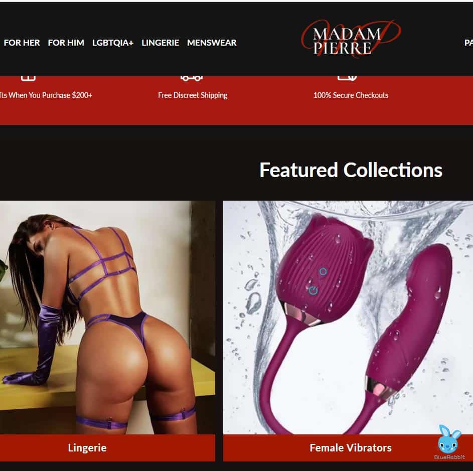 sex toys website owner
