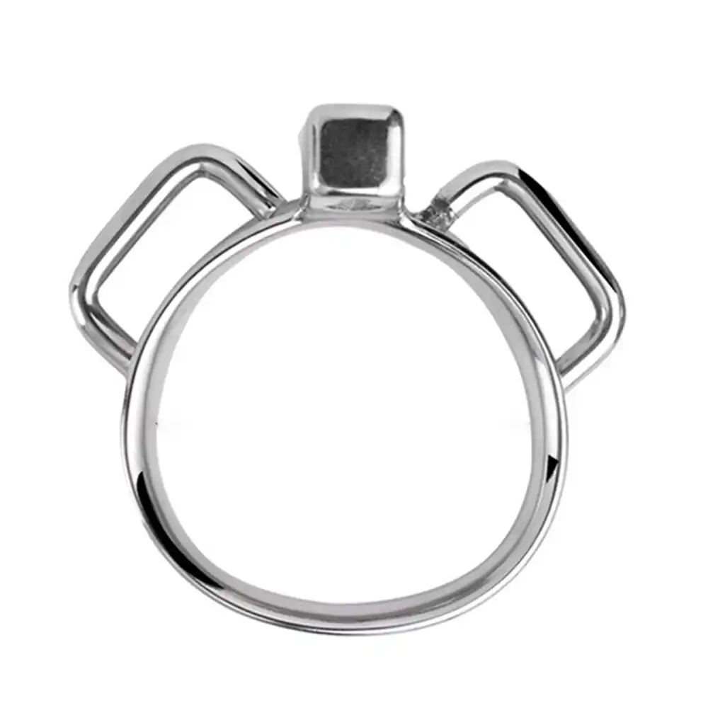 metal chastity ring