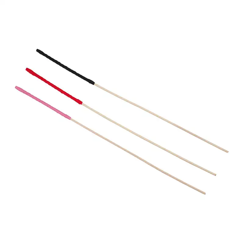 BDSM cane for spanking