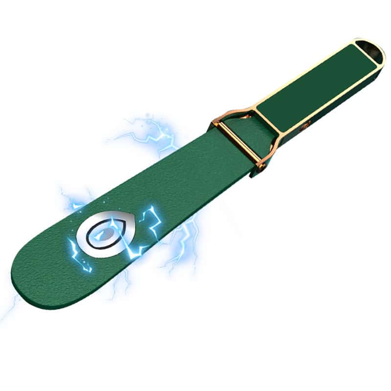 Intelligent Electric Paddle