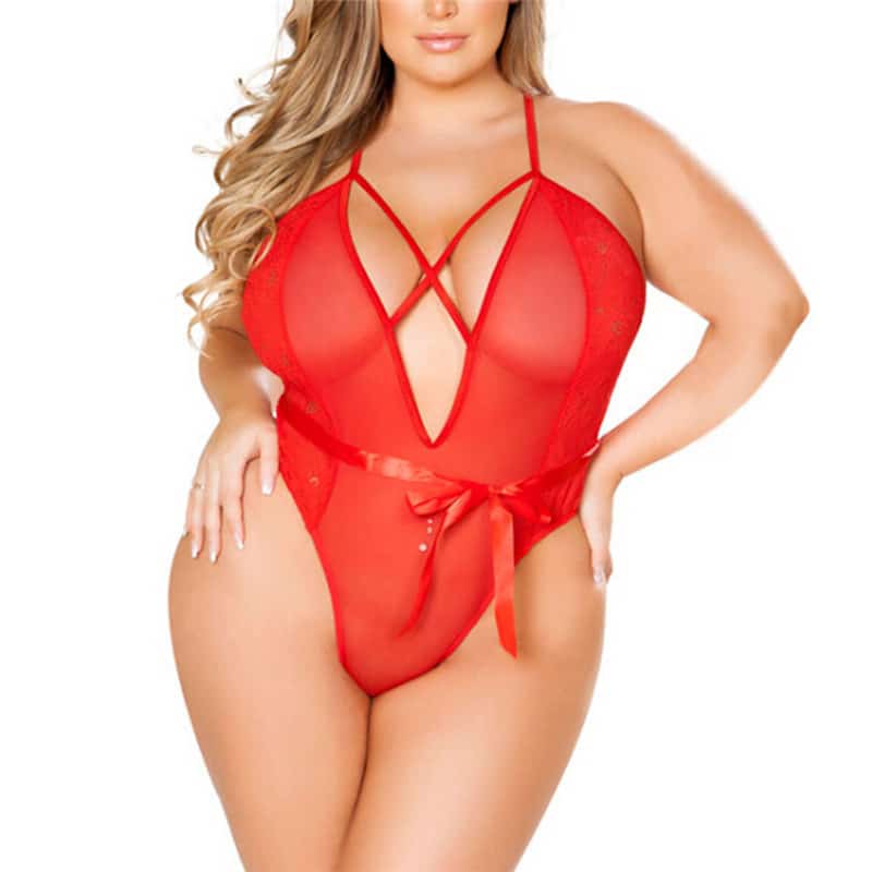 Plus Size Mesh Teddy