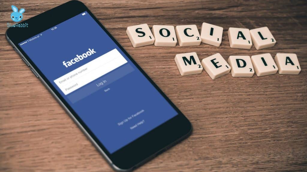 Social Networks Like Instagram, Quora, And Reddit