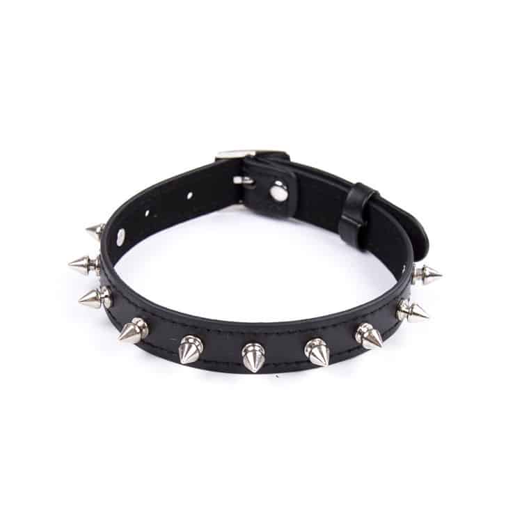 Dog Collar with Spikes