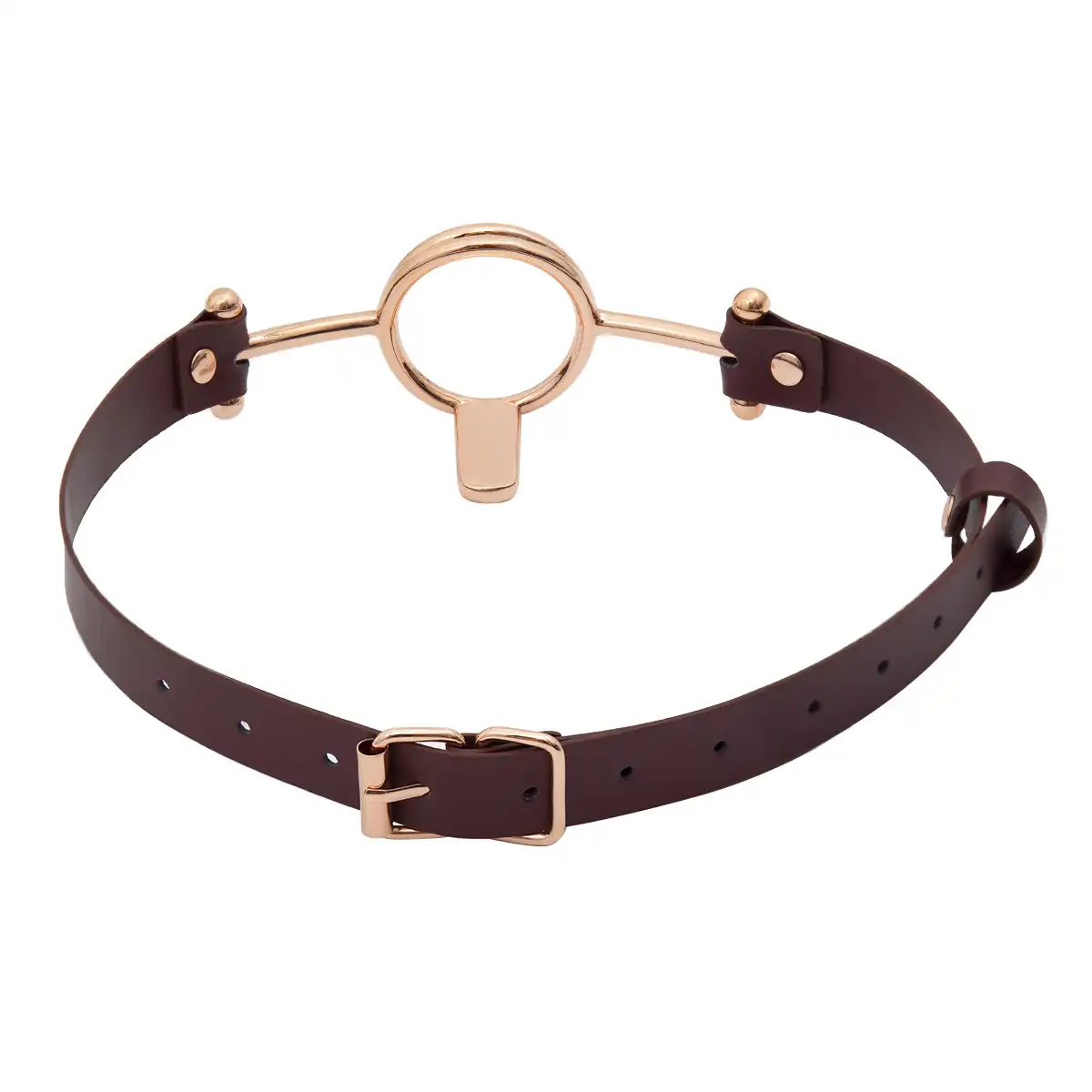 Ring gagged BDSM