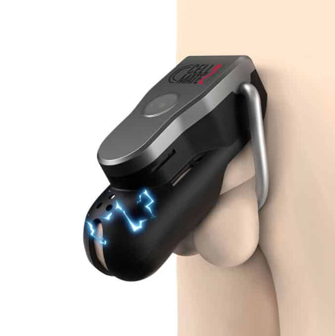 Cellmate 2 Chastity Cage
