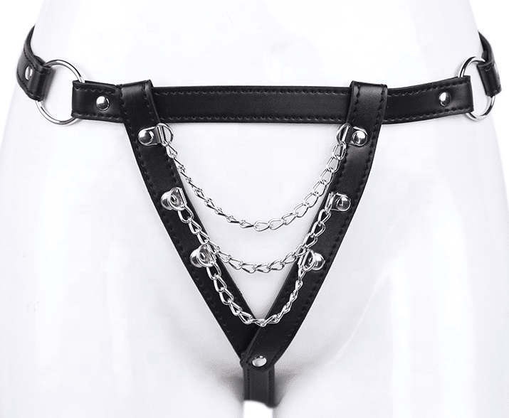 Chastity Panties